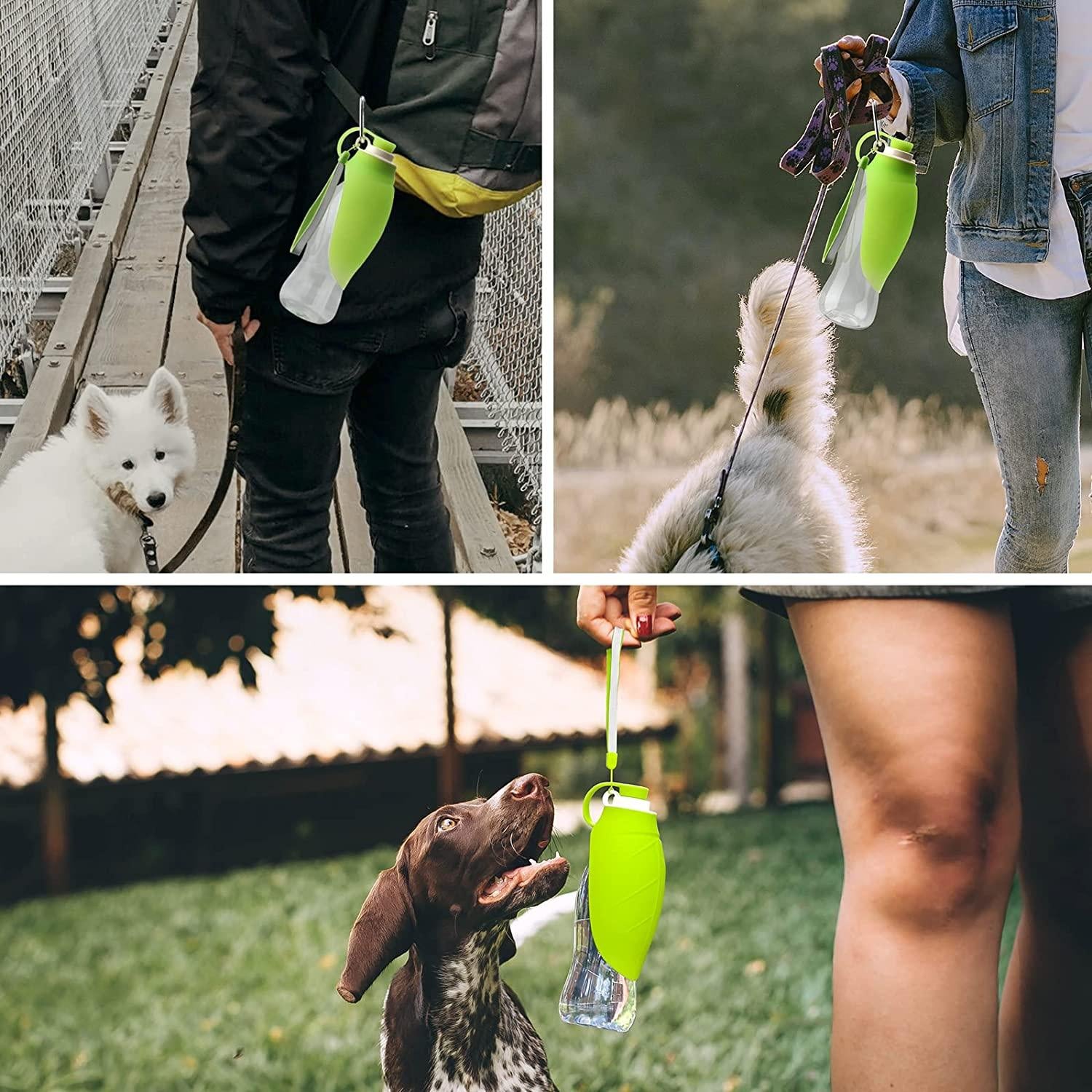 The Wanderpaws Portable Pet Hydration Station