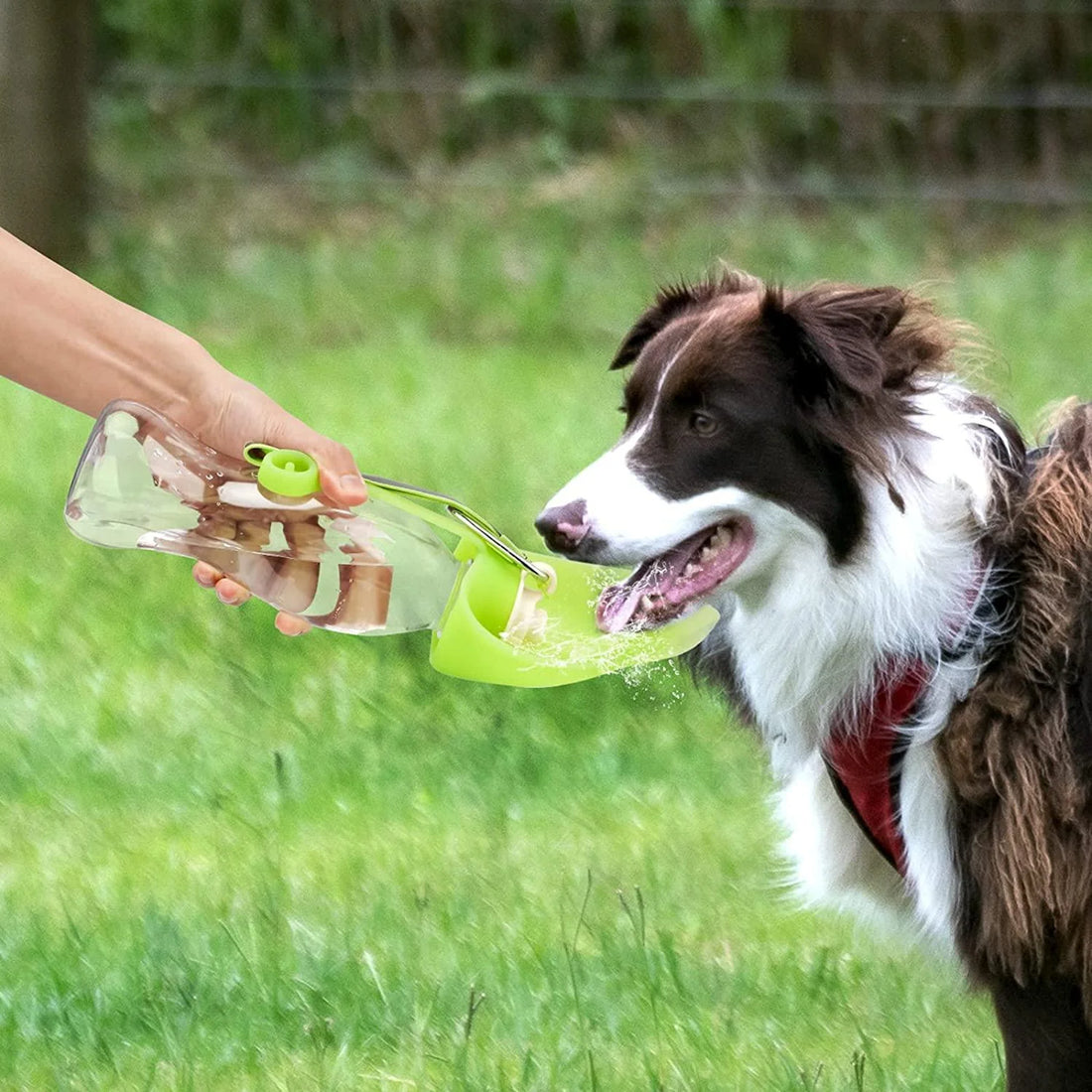 The Wanderpaws Portable Pet Hydration Station